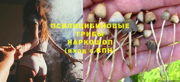 mix Аркадак